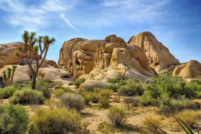 Best Hikes in Southern California || 8 Best Trail 7xm.xyz228940 1 - Best Hikes in Southern California || 8 Best Trail