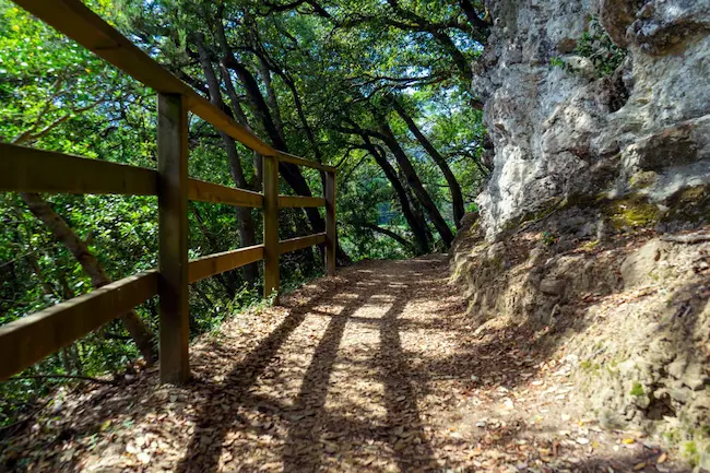 Santiago Oaks Regional Park || History and Future 7xm.xyz851011 - Santiago Oaks Regional Park || History and Future